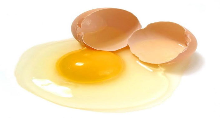 kuning telur